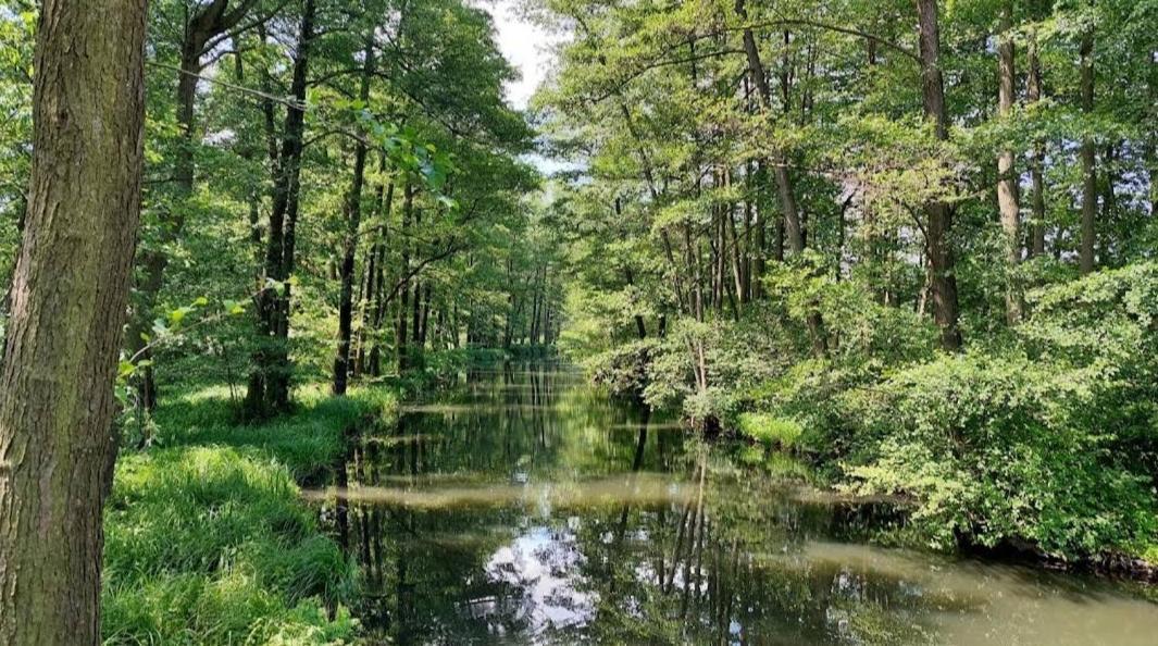 Spreewald Spreemilia Gurkenbude Lübbenau Esterno foto